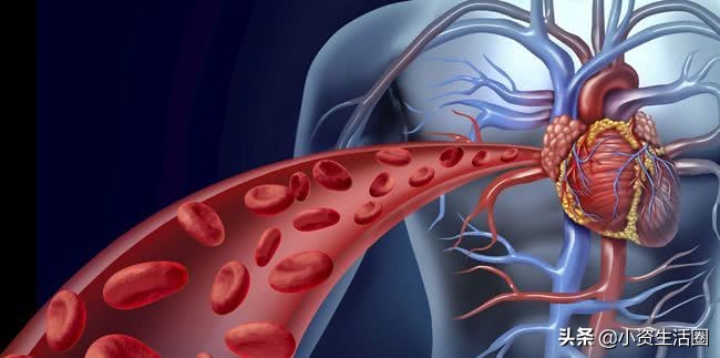 细胞如何感知氧气获2019年诺奖，有氧运动真能提升耐力吗？