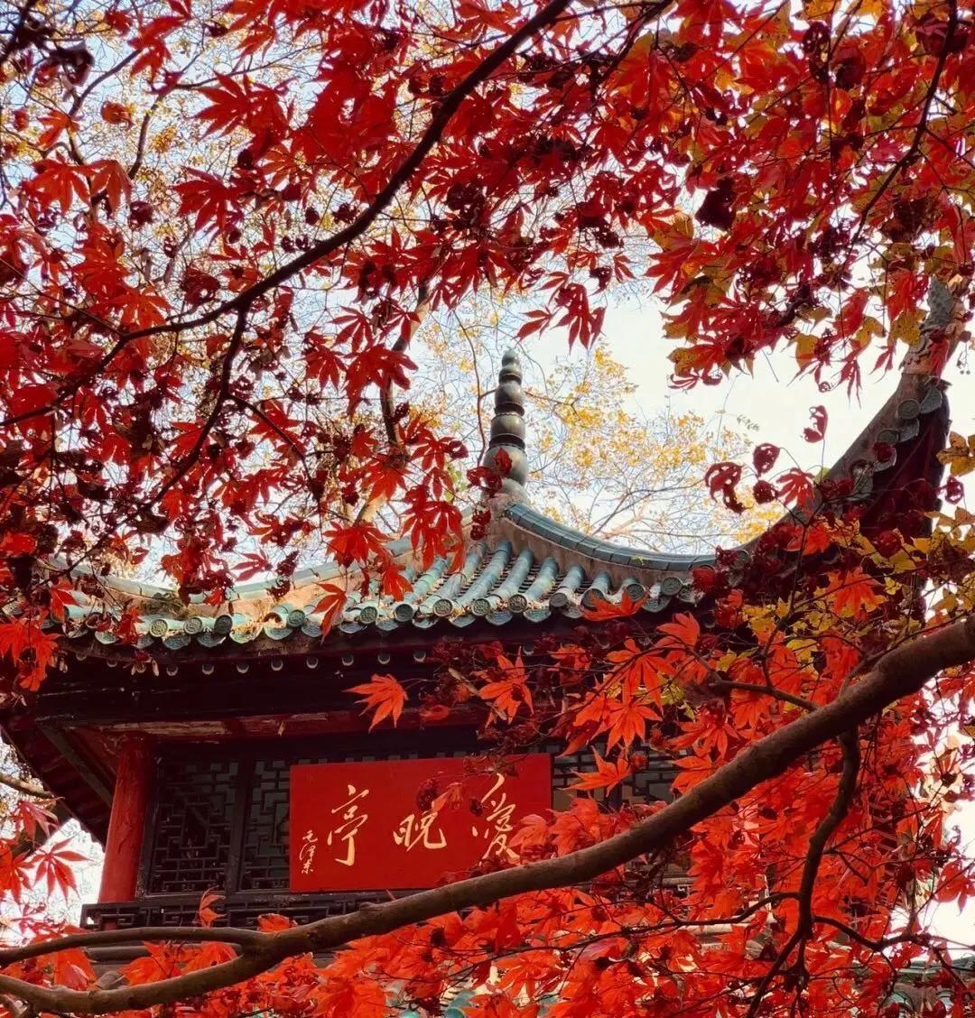 在别的城市上大学真的好吗,去哪个城市上大学最舒服