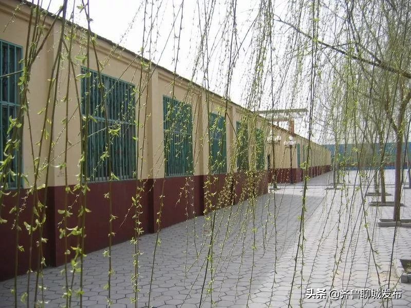 聊城二中历史,十年印象阿布