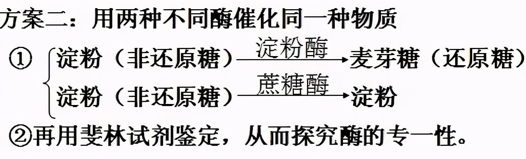 高中生物实验及其作用总结,高中生物实验要点归纳图
