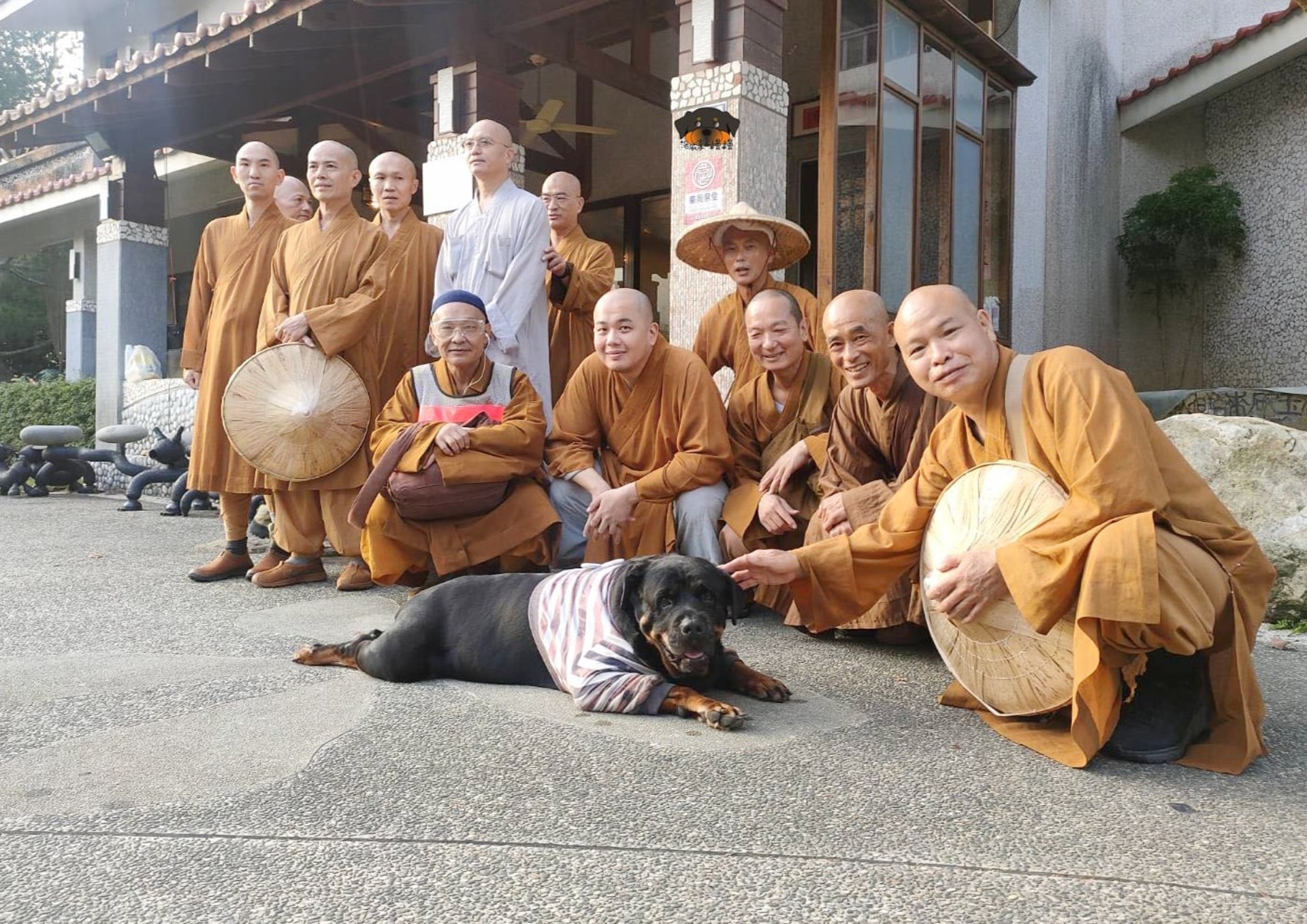 罗威纳成为奶奶的拐杖,120斤罗威纳犬视频