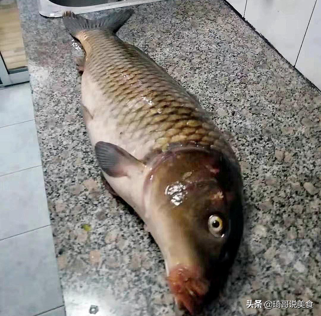 大鲤鱼里面的鱼籽怎么吃,鲤鱼肚子里的鱼籽怎么做好吃