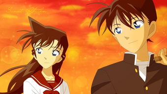 工藤新一毛利兰无水印,工藤新一毛利兰背影翻过来