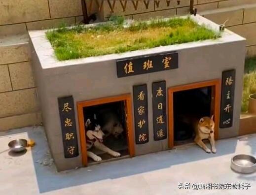 给大家说点真实的笑话,笑死人不偿命的笑话