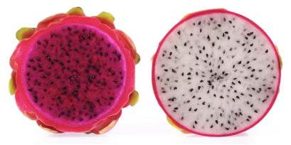 玫瓣裹雪影，芳心含芝粒——火龙果