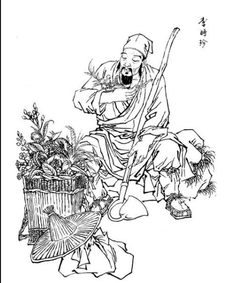 蝙蝠如何吃,李时珍说蝙蝠