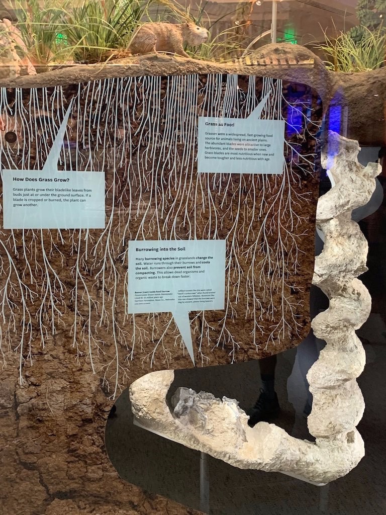 这种两米高的“魔鬼开瓶器”，是谁在几十万年前造出来的？