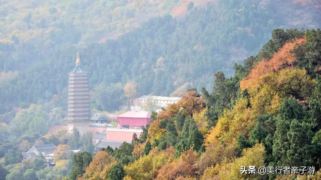北京春天爬山好去处推荐孩子,北京周边适合带孩子爬山的地方