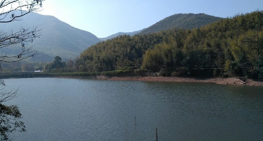 风景秀丽的宜兴竹海,漫步竹林呼吸大自然的清新