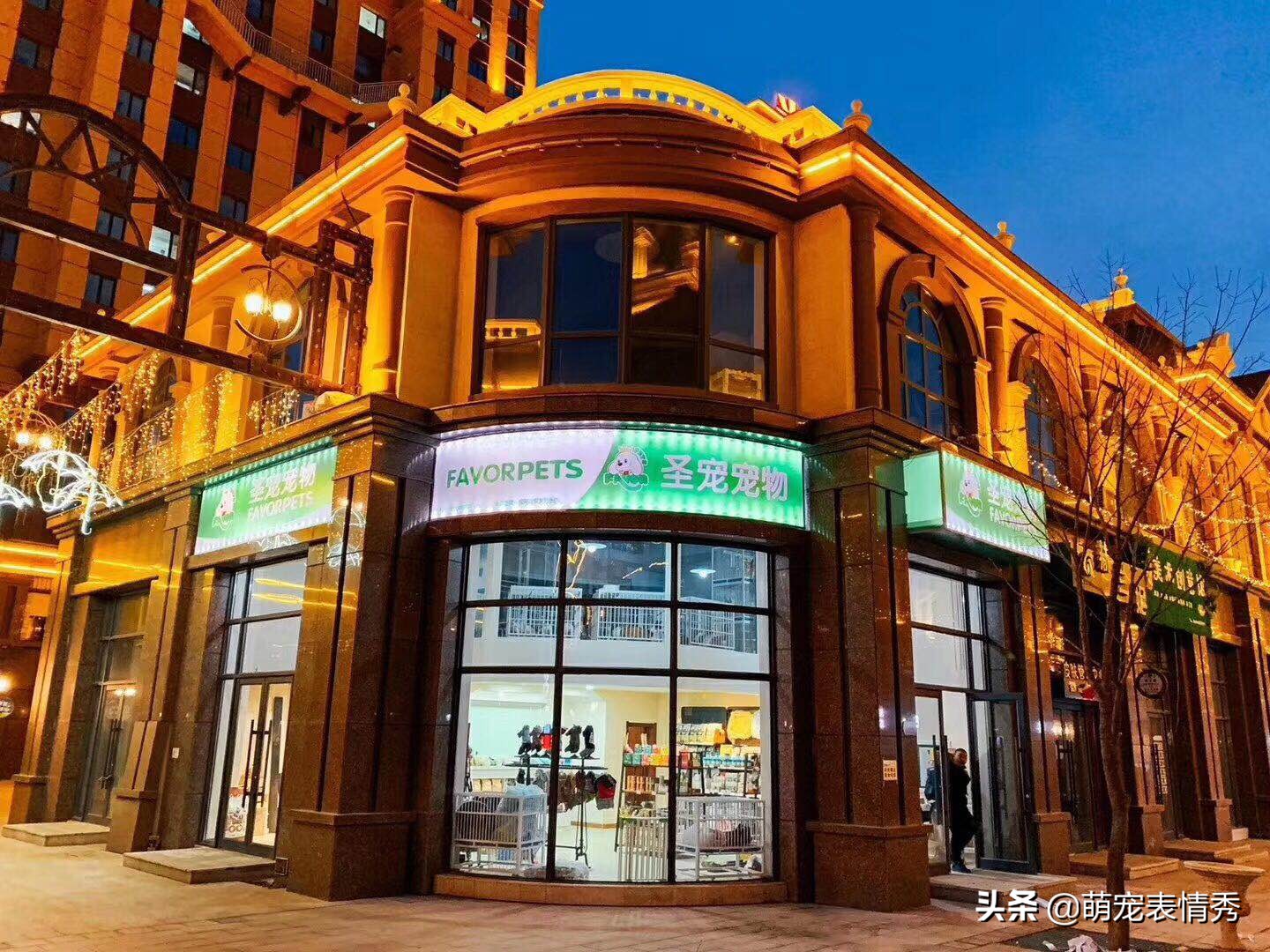 做宠物美容店赚钱吗,宠物美容店赚钱