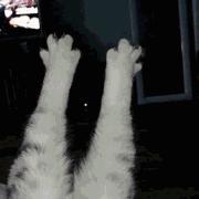 均价二三十包包推荐,平价值得入手包包