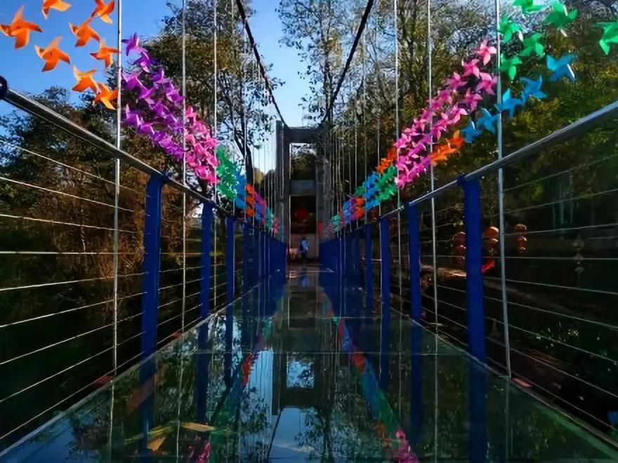 蓝花楹昆明网红打卡地在哪里,昆明周边湿地公园网红打卡地