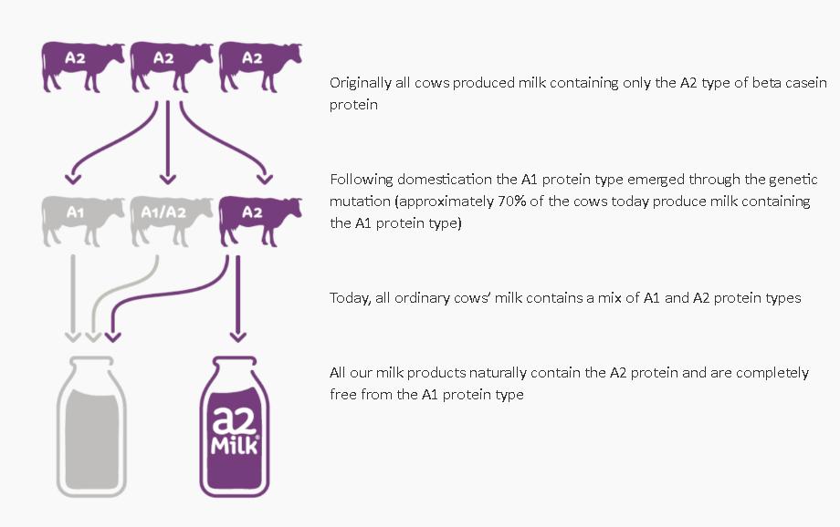 a2奶粉3段澳洲版营养分析,a2儿童营养成长奶粉怎么样