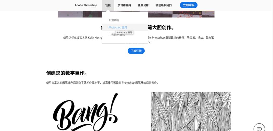 插画圈最好用的笔刷大分享,插画里的笔刷