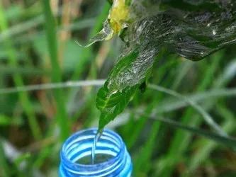 diy水浮式指南针,儿童diy指南针实验