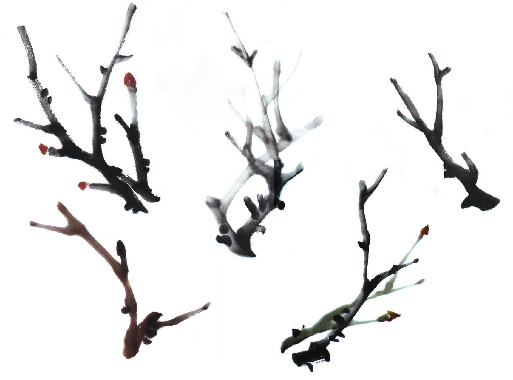 各种花的画法教程简笔画,各种花的画法大全简单漂亮