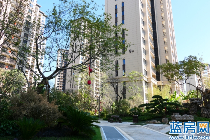 龙岩蓝房最新消息,蓝房探盘