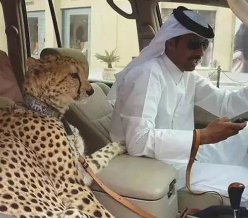 靠捡垃圾成为千亿富豪,靠捡垃圾成为千亿富翁合集