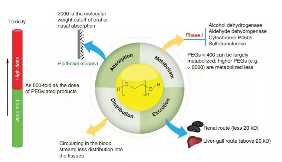 生物药物分析网课,生物药物分析和化学药物分析区别
