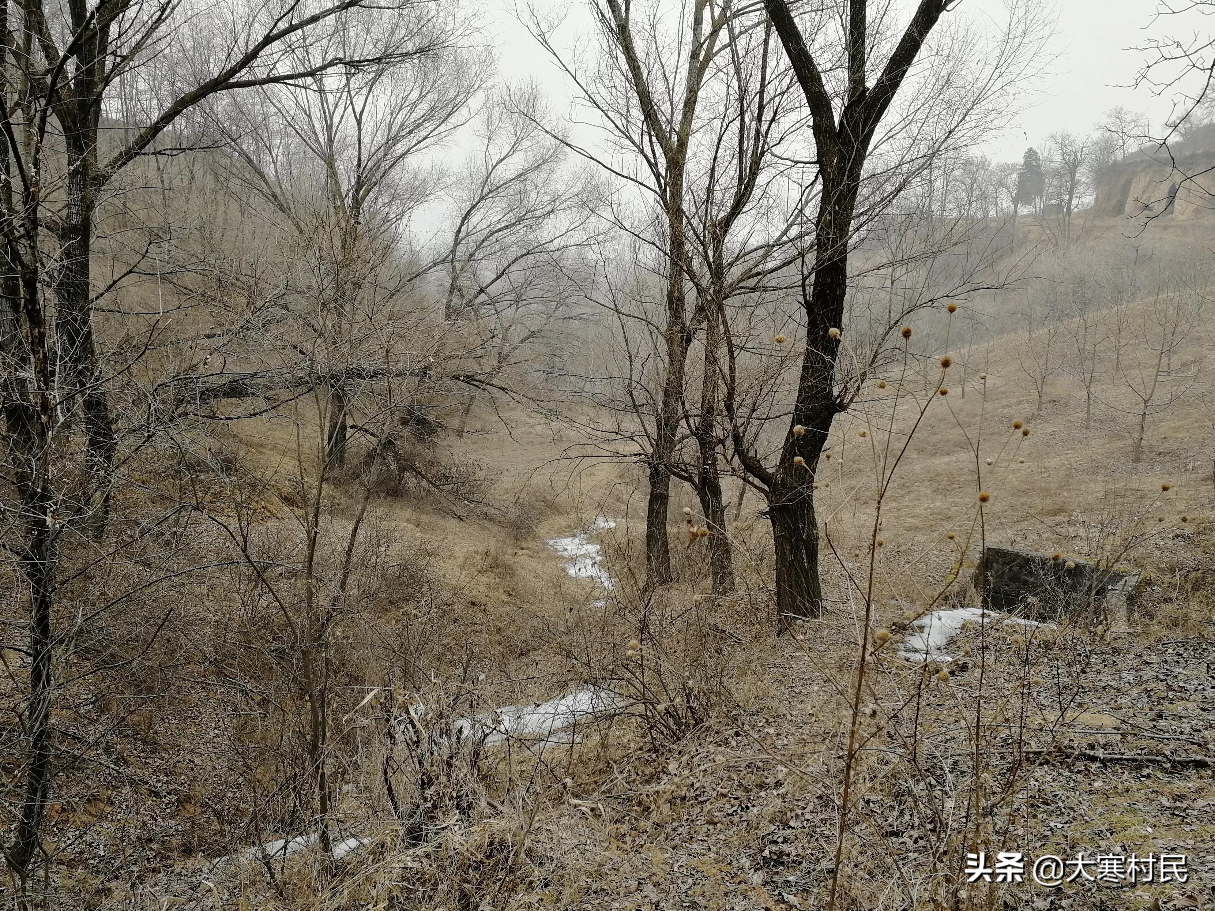 想象春天,想象中的春天