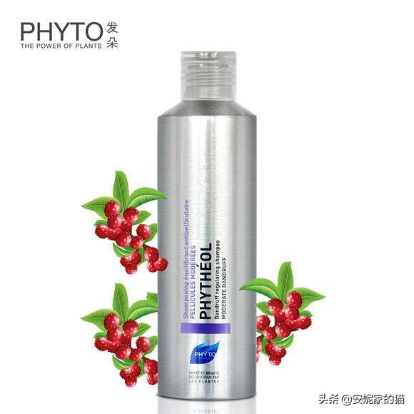 头屑多头痒用什么洗发水比较好,头屑多比较油用什么洗发水最好