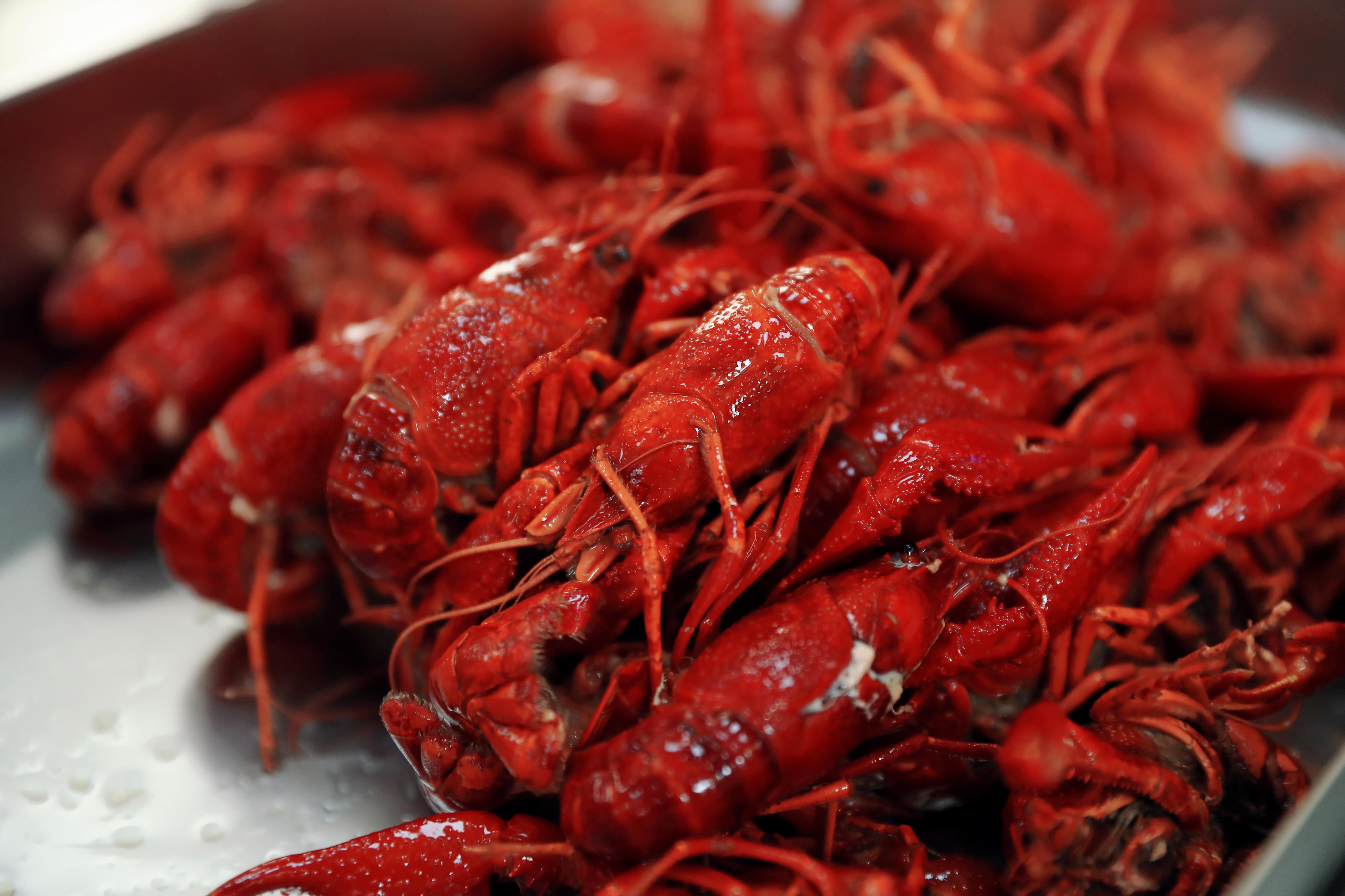 虾神来啦吴江店,虾神来了秘制小龙虾做法