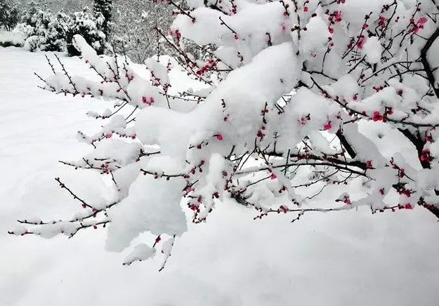 寄情于山水之间的唯美古诗词,寄情山水悠闲自得的诗词