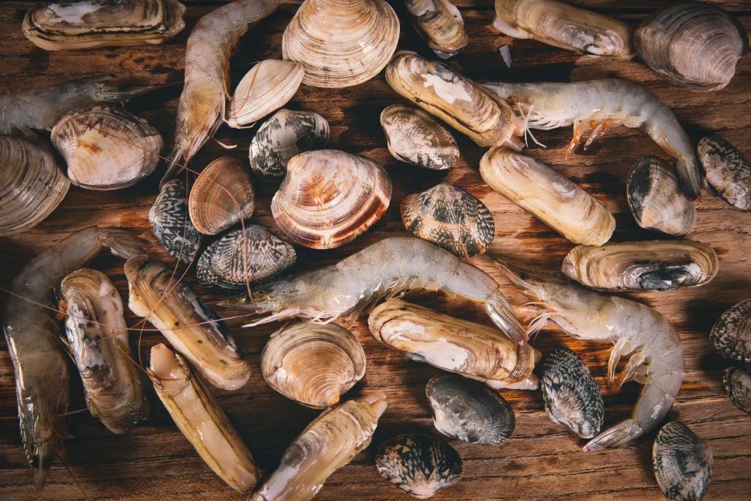 蛤蜊蚶子蛏子区别,蛏子海螺牡蛎蛤蜊