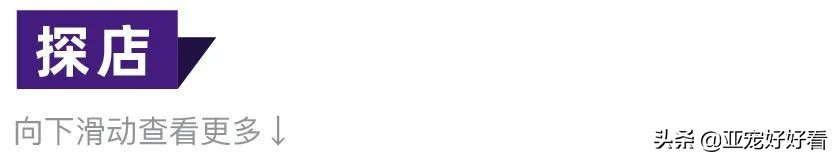 亚宠云课堂,比熊犬赛级妆造型