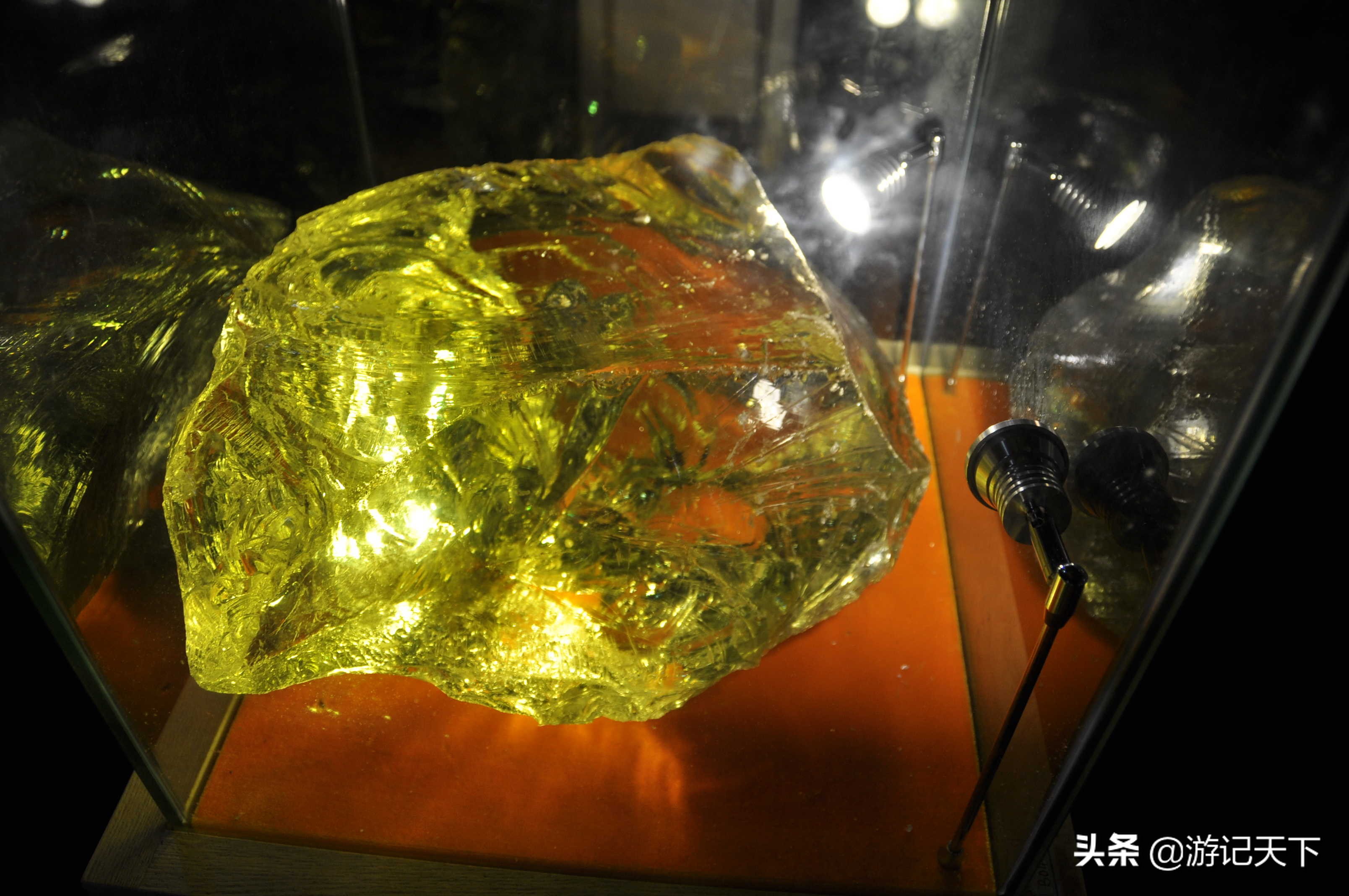 阿尼亚参观博物馆,上海地质科普馆游玩