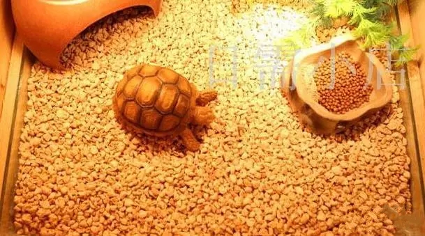 龟专用垫材,龟缸垫材推荐