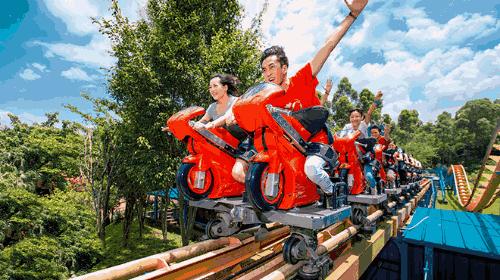 广州长隆野生动物世界附近的酒店,广州长隆酒店福利待遇