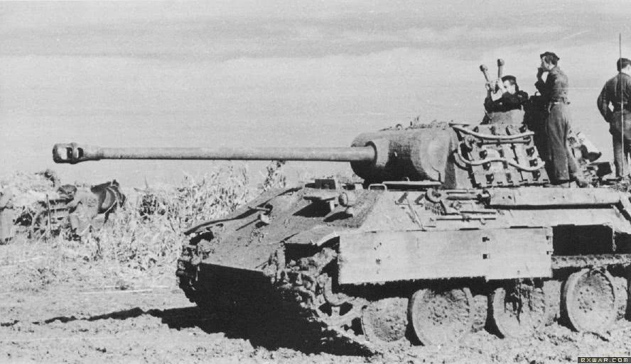 蓝星最强步兵,蓝星三大顶级部队