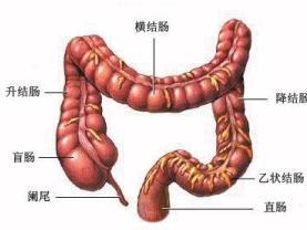 多走路预防结直肠癌,预防结直肠癌的疫苗有哪些