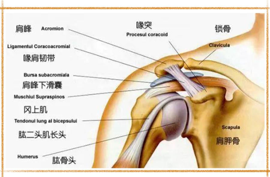 是不是没有练到位就没有效果,为什么练了半个月没什么效果