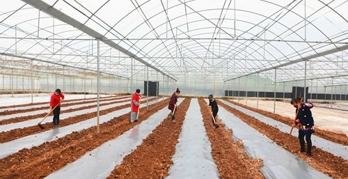 正值春季防疫工作的关键时期,春耕春管生产防疫两不误