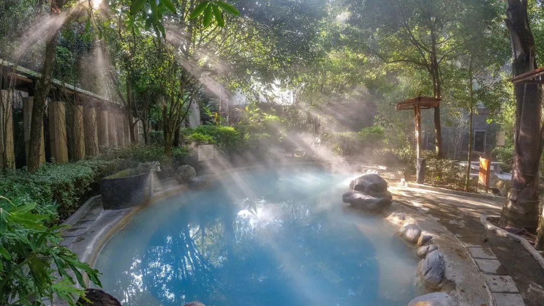 这是一个充满生机的公园怎么说,这是一个充满生机的国度朗诵