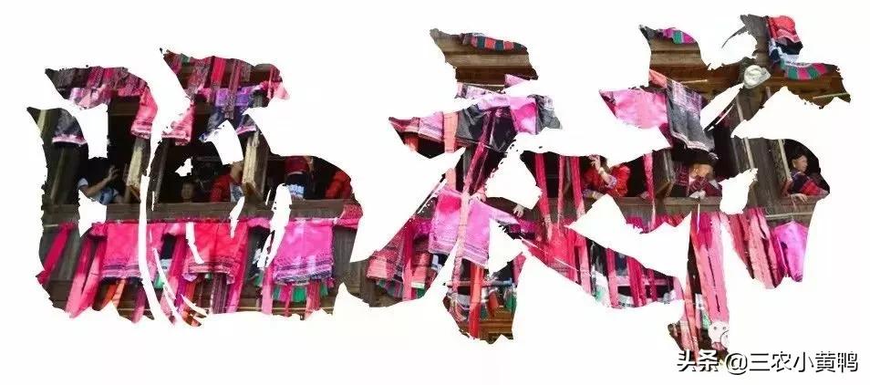 今天六月六，俗语“雨打六月六，四十五天暴”，啥意思？