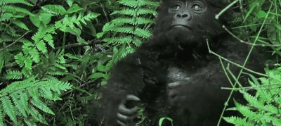 豆瓣9.8分悬疑大片,窥探电视剧豆瓣评分