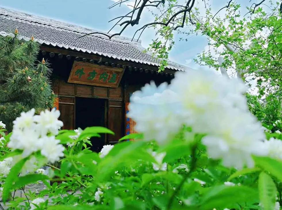 状元府每个状元都有吗,状元府状元第区别