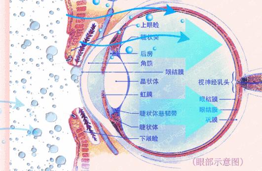 眼部保养重在“润”，用它一喷好舒服！细纹都慢慢膨了起来