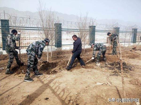 新疆公路防护绿色护栏网,公路养护部门春季养护新闻