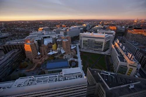 乐训星空:藤校不足0.5%的录取率说明了什么?