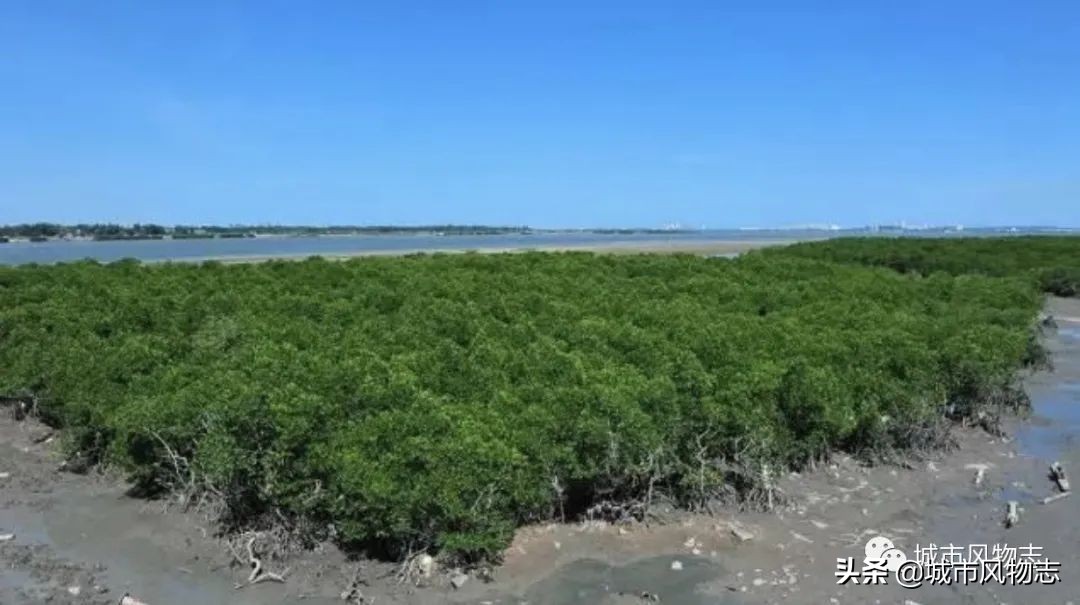 儋州|苏东坡既想“代言”，又想保密的地方