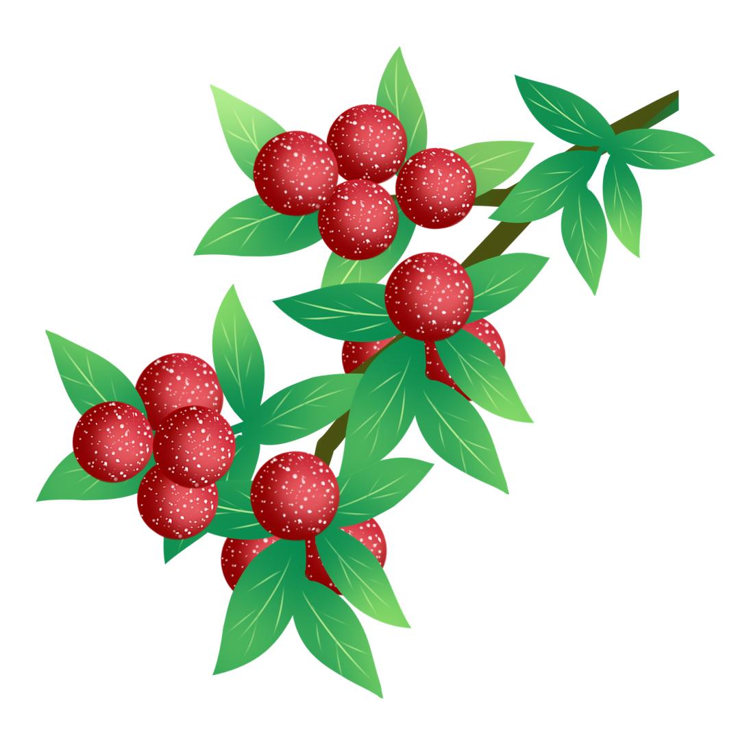 5月应季食物有什么营养价值,最应季的食材是最好的