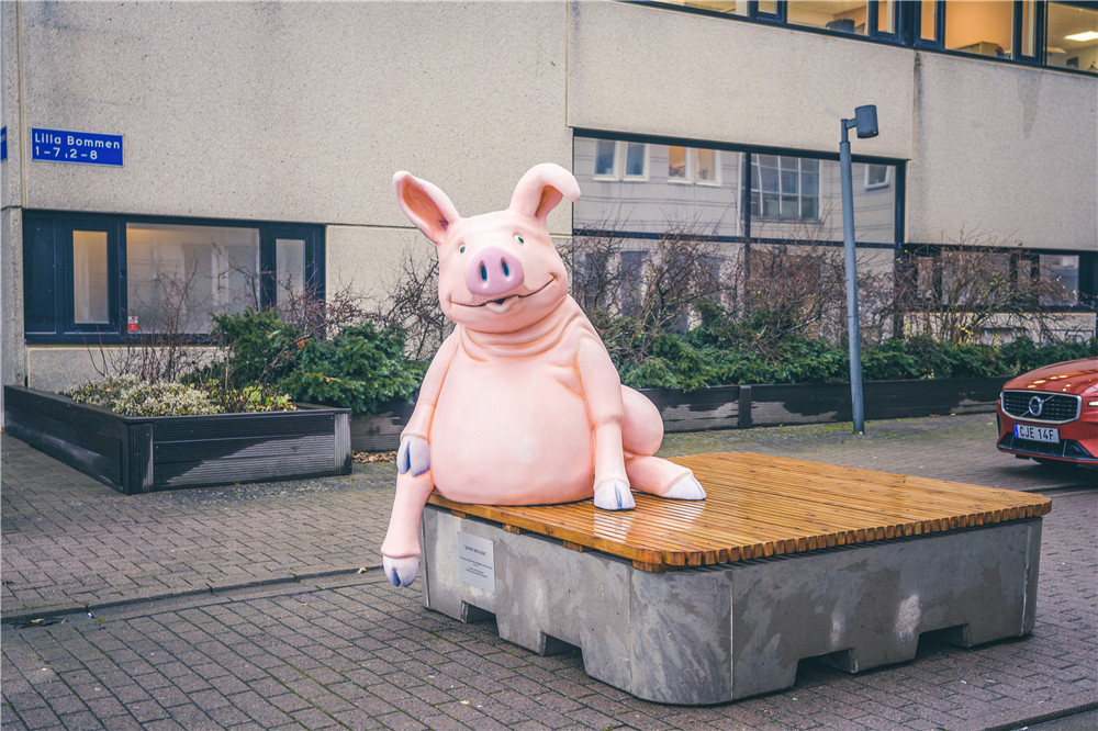 瑞典游玩攻略视频,瑞典自驾注意事项大全