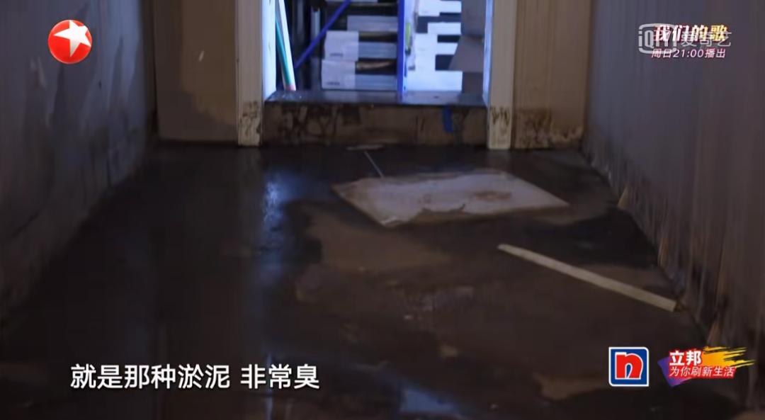 宝藏综艺后续,知识量炸裂的5部宝藏综艺