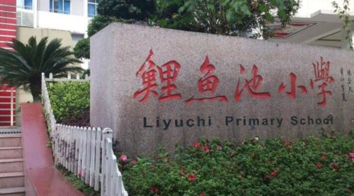 江北区私立小学哪个最好,江北区比较好的小学有哪些
