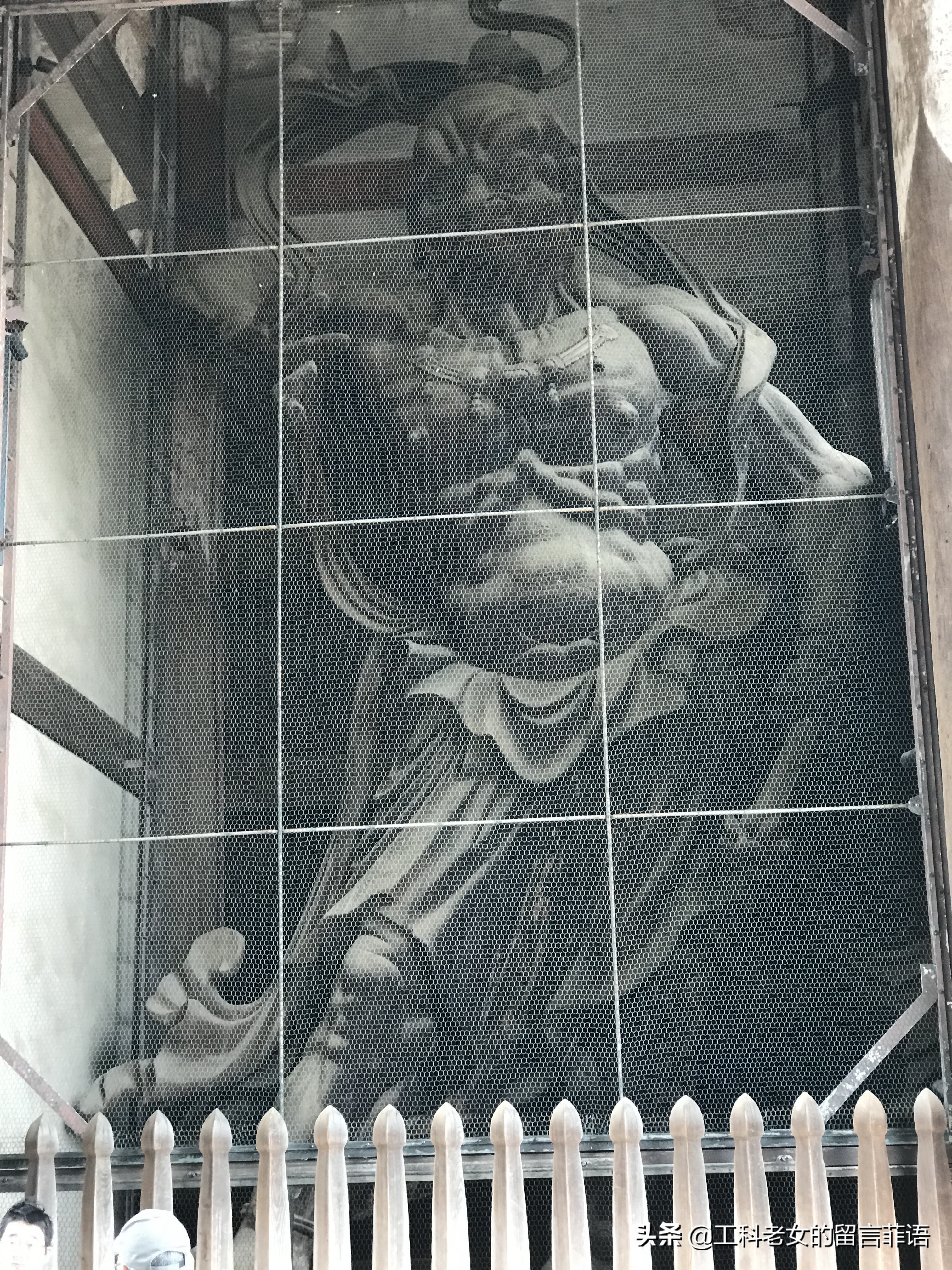 奈良东大寺大佛殿和太和殿,奈良东大寺位置地图图片