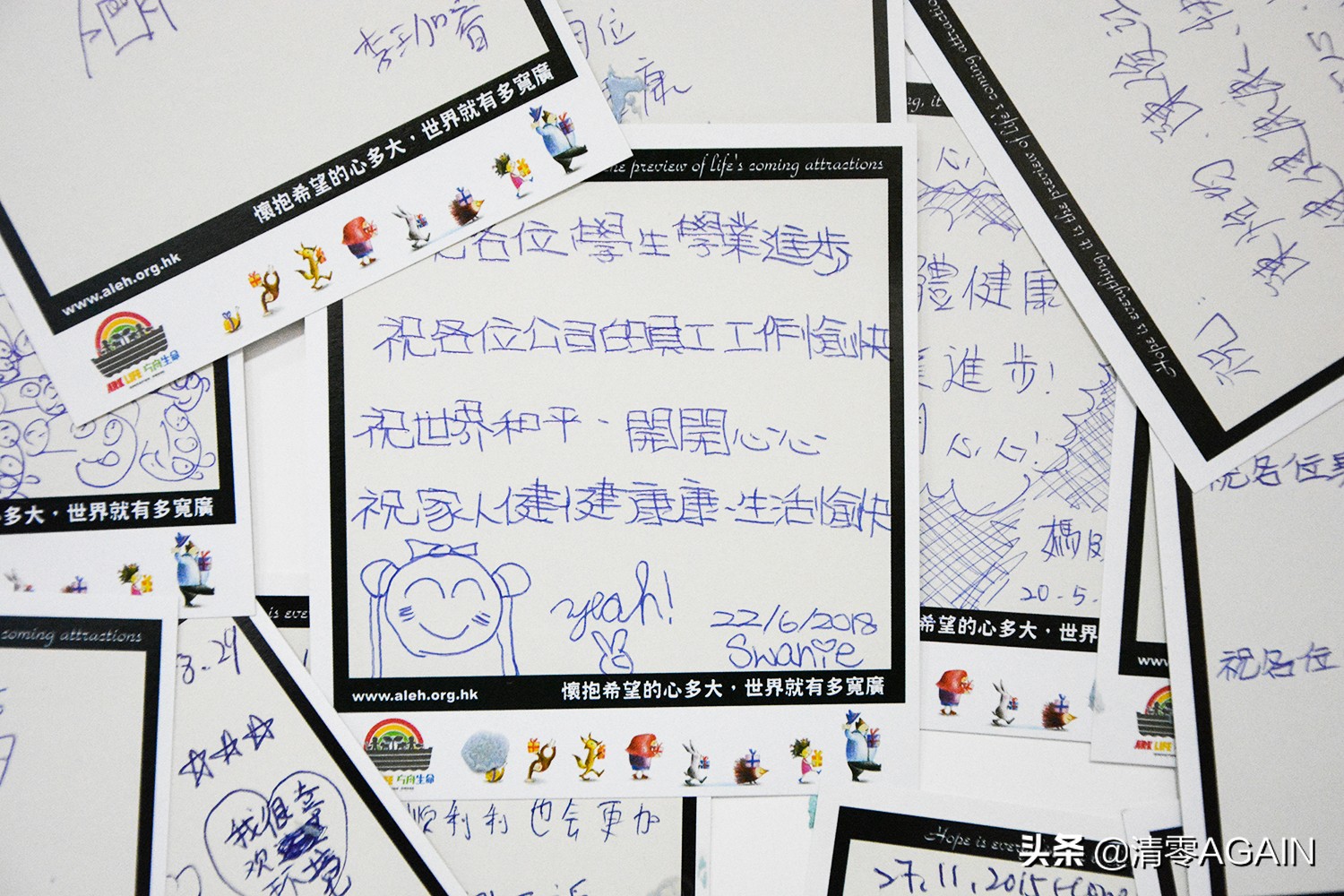 挖掘网红地x另类打卡挪亚方舟的文青路线